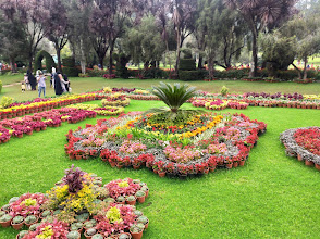 Government Botanical Garden