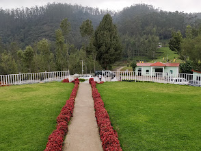 Ooty Tea Factory & Museum